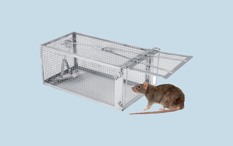 Cách đuổi chuột ra khỏi tủ lạnh